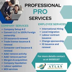 PROFESSIONAL PRO SERVICE