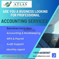 Accounting Services 0