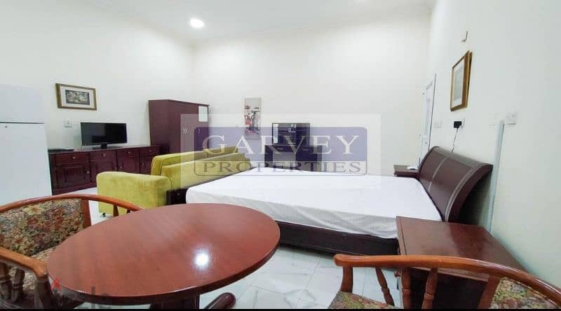 FULLY FURNISHED EXECUTIVE STUDIO NEAR VILLAGIO 0