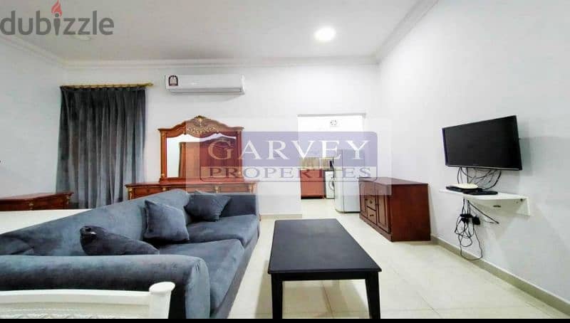 Fuly Furnished Studio Apartment Including Bills 2