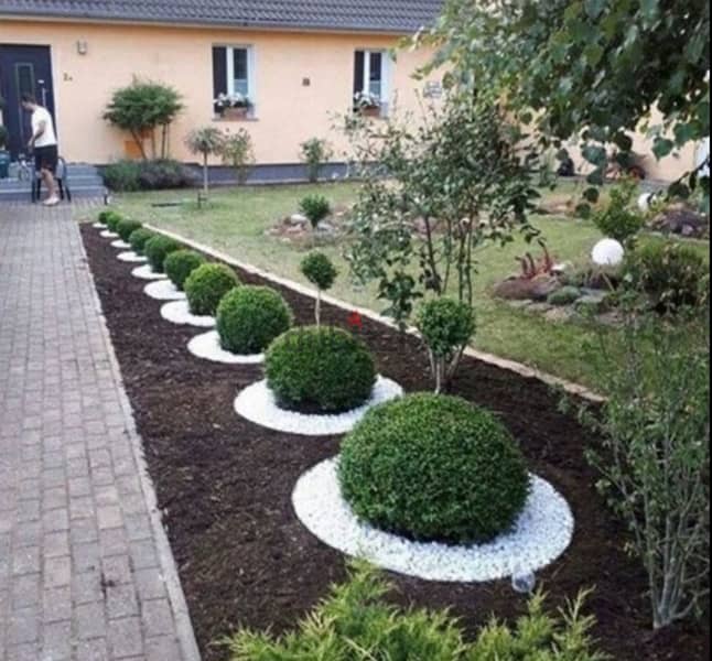 Garden Landscaping 12