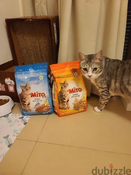 MITO Dry Cats Food 15 kg 3