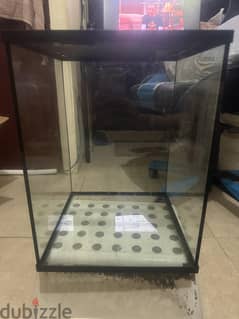 USED Glass Terrarium/Tank 30x30x35 with mesh cover (removable) FOR SAL