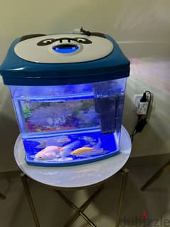 Aquarium / Fish tank