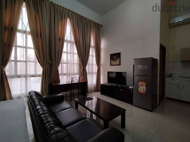 Fully Furnished Executive Studio In Ain Khaled 0