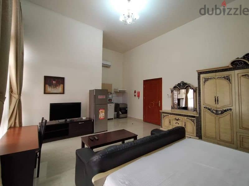 Fully Furnished Executive Studio In Ain Khaled 2