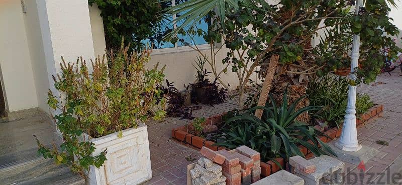 Nice 3 B/R Villa with Garden in Mamoura 9