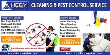 Professional Pest Control Company in Doha,Qatar 0