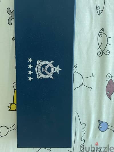 Pakistan Air Force Tie