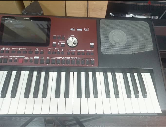 watapps +1(475)3557758 Korg pa700 61 note  amplified Oriental 1