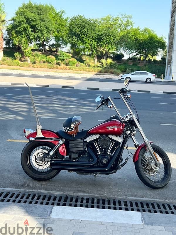 HD street Bob 0