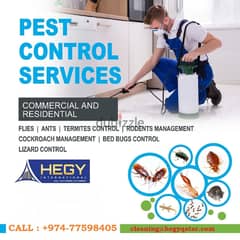 Pest Control Services for Cockroaches In Doha, Qatar 0