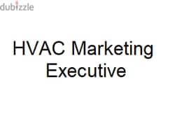 Marketing Executive 0