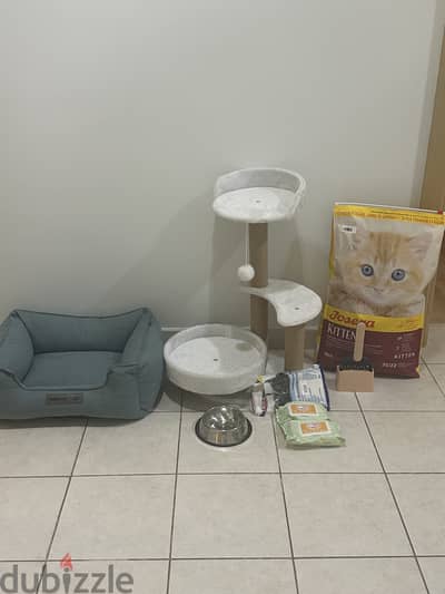 Several cat items at best price