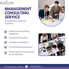 Management Consulting Service 0