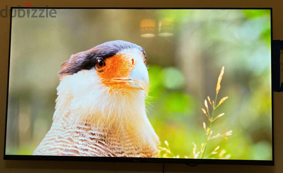 55 inch Orcar 4k smart TV 1