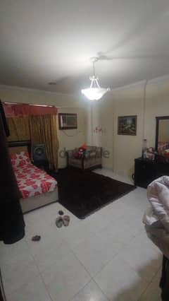 Furnished room for family / Females in Mansoura 0