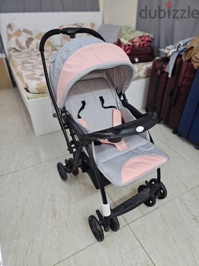 R For Rabbit Stroller