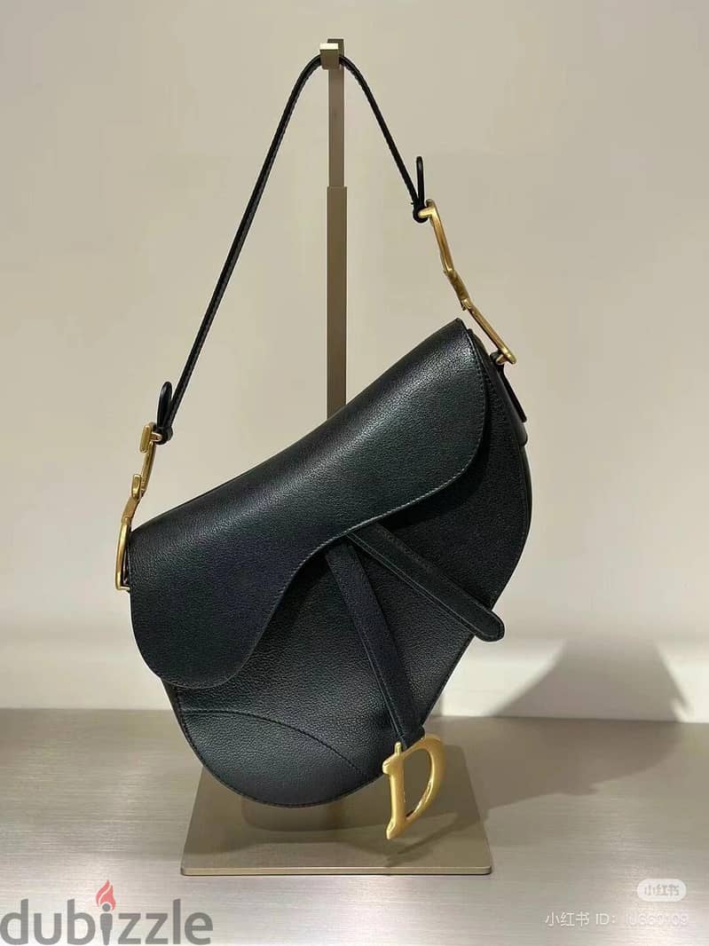 Dior saddle bag 1