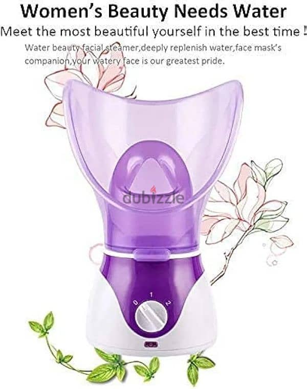 Facial Steamer 3