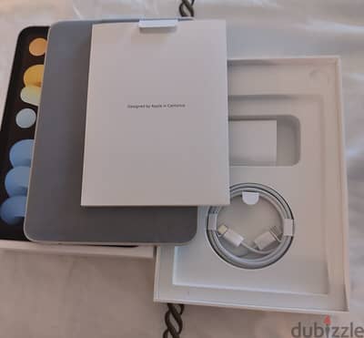 Apple - iPad mini Wi-Fi + Cellular - 256GB