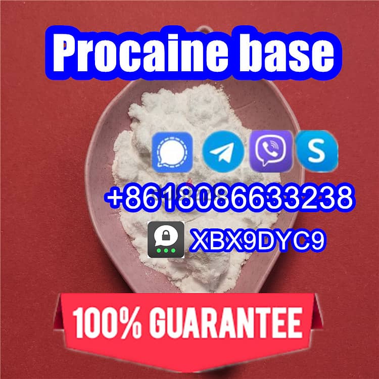 51-05-8/59-46-1/Procaine hcl/Procaine base 1