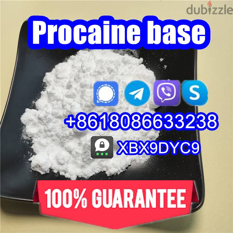 51-05-8/59-46-1/Procaine hcl/Procaine base 2