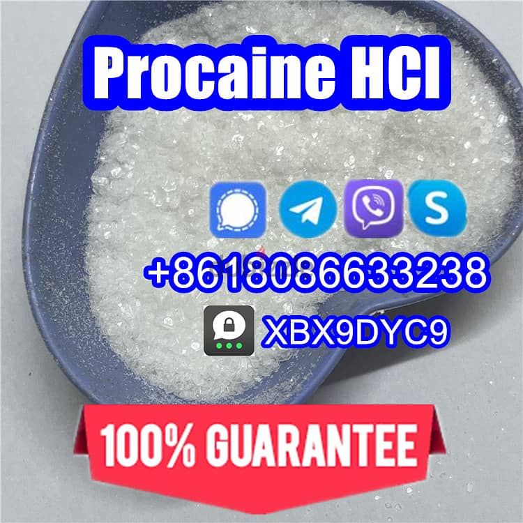 51-05-8/59-46-1/Procaine hcl/Procaine base 4