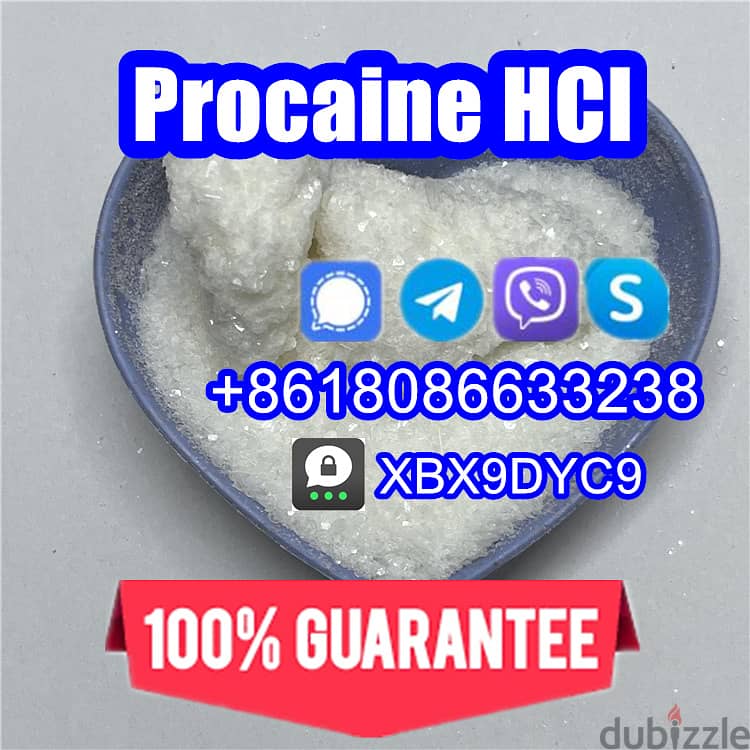 51-05-8/59-46-1/Procaine hcl/Procaine base 8