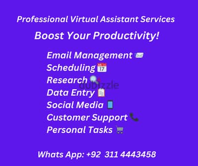 Professional Virtual Assistant & Data Entry Services