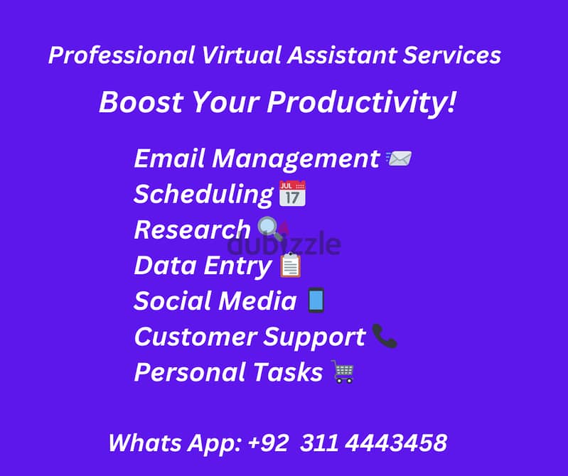 Professional Virtual Assistant Services 0