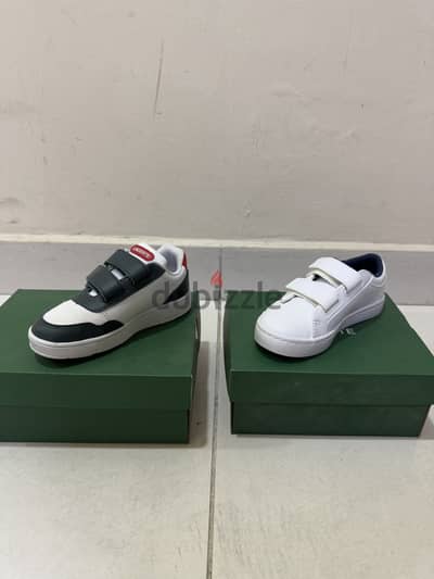 Lacoste Shoes