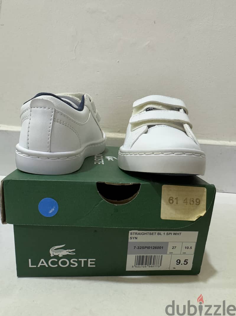 Lacoste Shoes 1