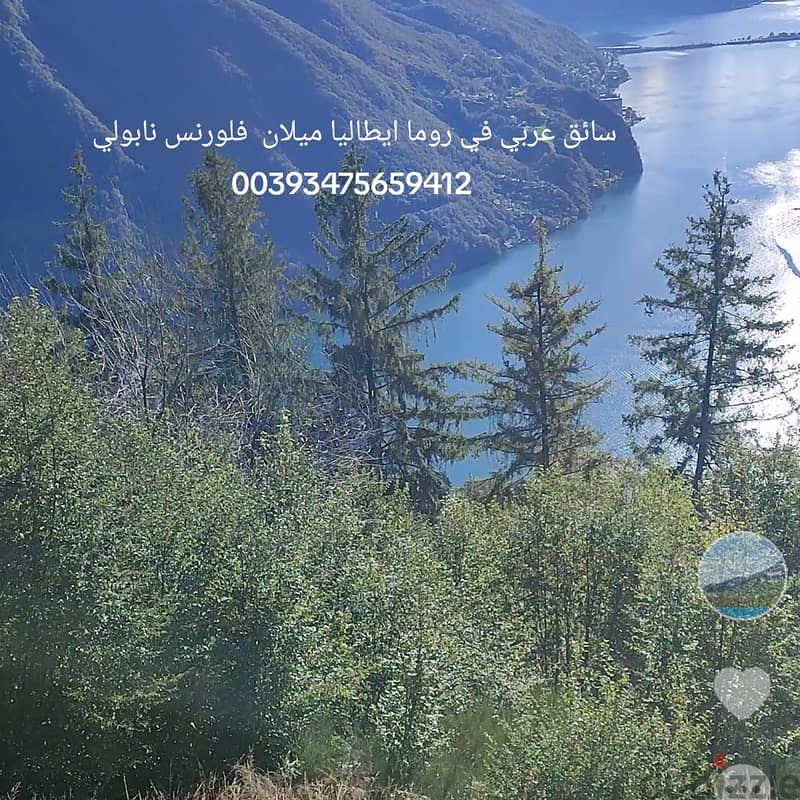 ساءق عربي و مرشد سياحي روما  روما 00393475659412 3