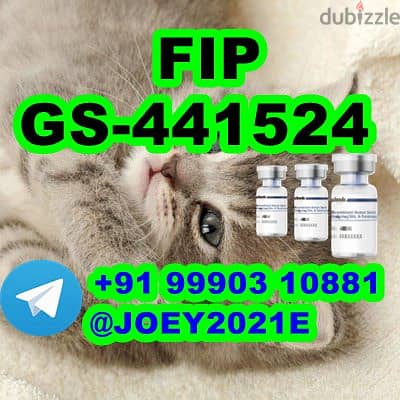 GS-441524 cat Fip Feline Infectious Peritonitis