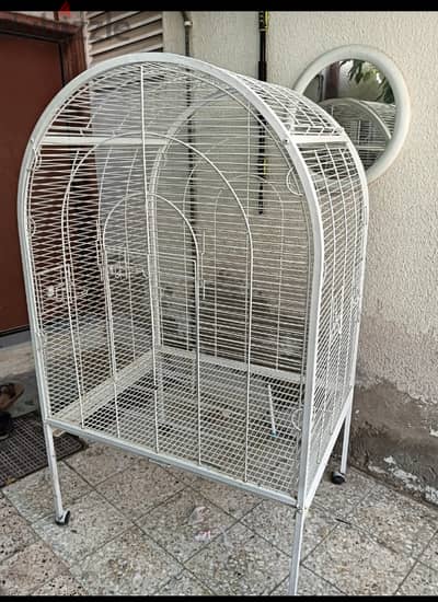 Birds cage