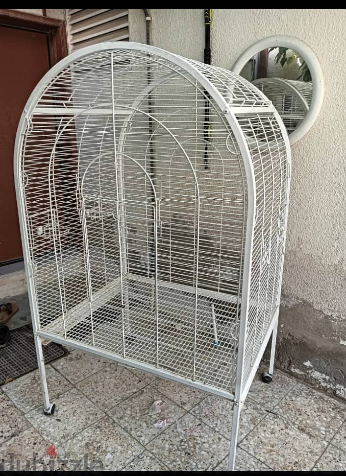 Birds cage 2