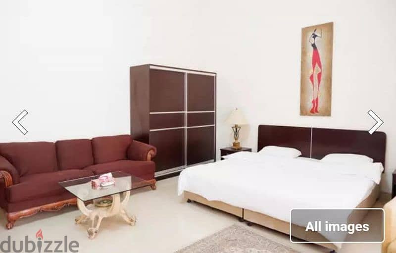 Fully Furnished Executive Studio In Ain Khaled 1