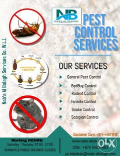 Pest Control Services 0