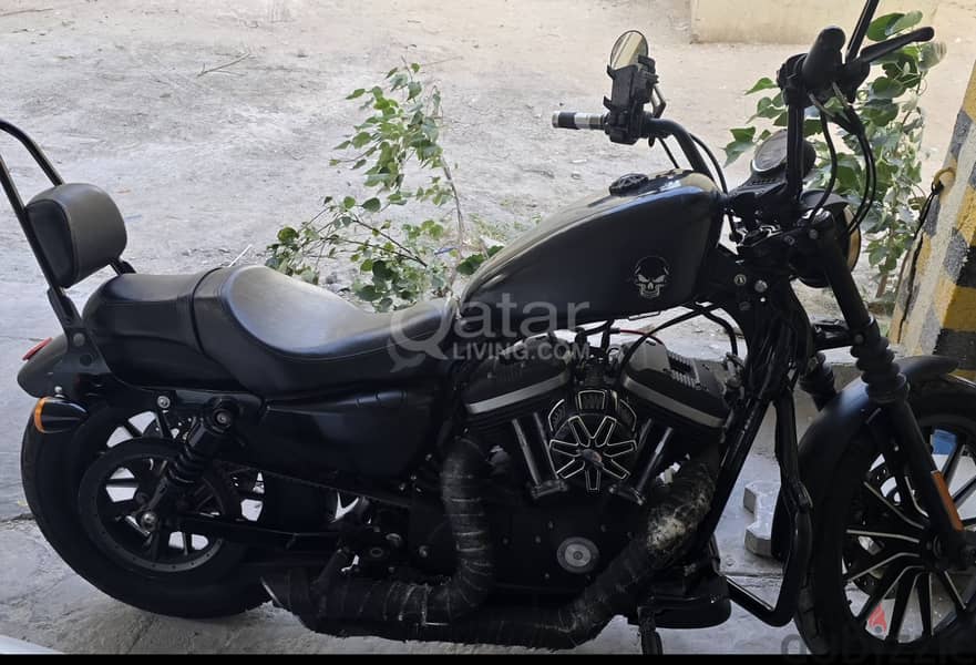 Harley Davidson 2015 Sportster URGENT SALE 2