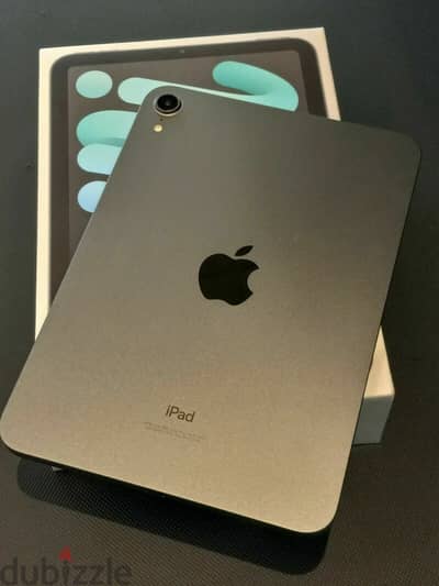 Apple - iPad mini  Wi-Fi + Cellular - 256GB