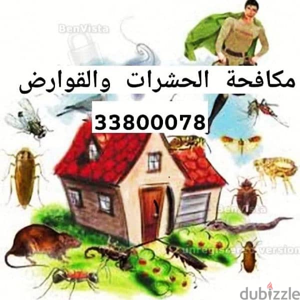 مكافحة الحشرات والقوارض والتنظيف العام للمباني 4