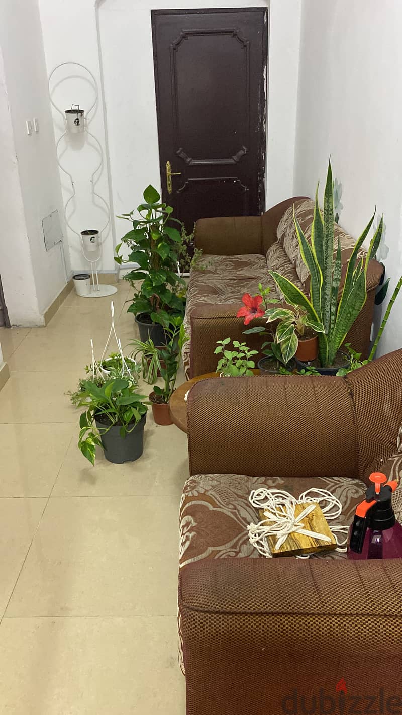 Spacious 1 BHK Furnished Near Wakrah Hamad hospital from 1st Feb. 2025 5