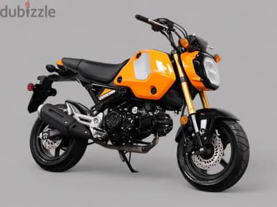 2024  HONDA GROM +974 66574363