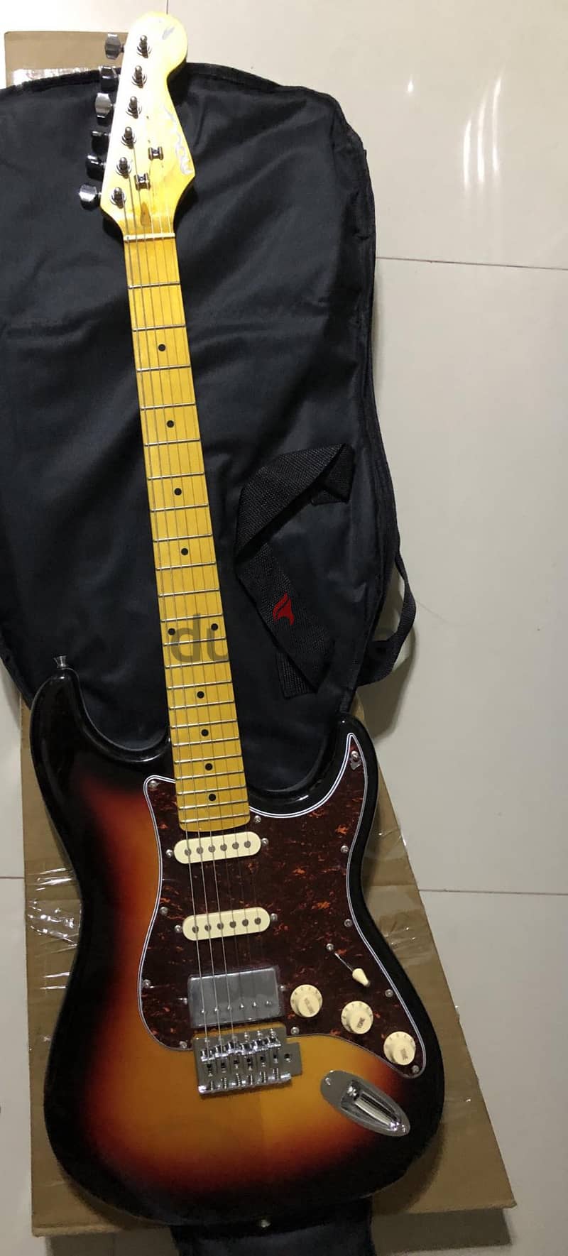 Customized Electric Guitar and Amplifier 1