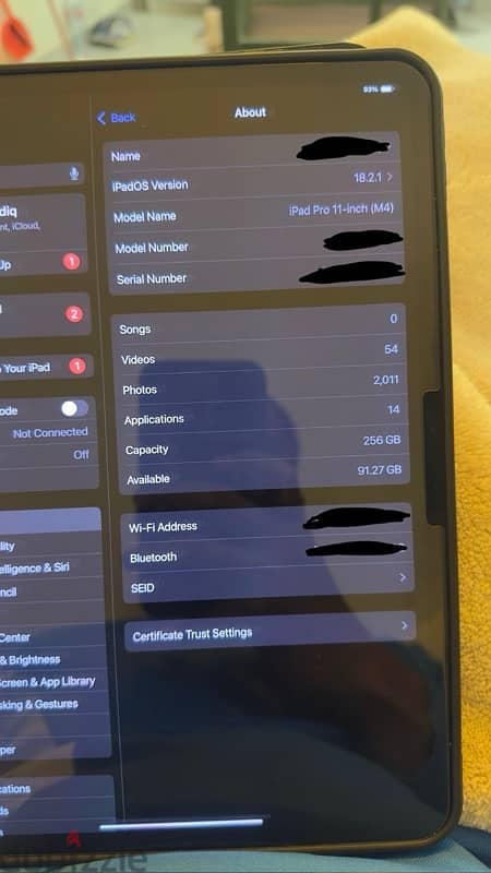 apple ipad pro m4 256gb. silver 0