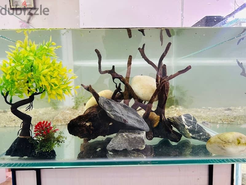 Brand new Aquarium for sale 1