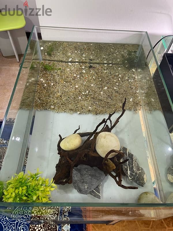 Brand new Aquarium for sale 3