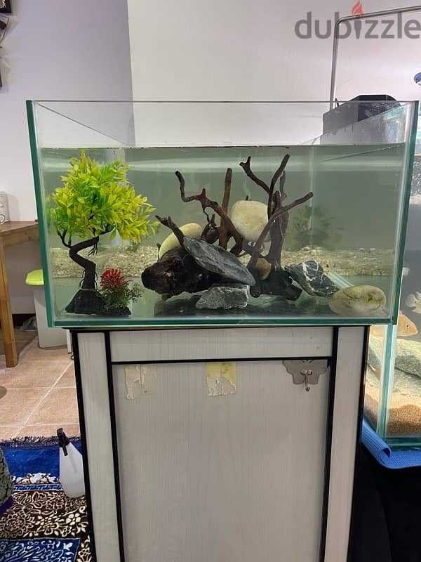 Brand new Aquarium for sale 4