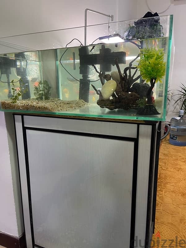 Brand new Aquarium for sale 5